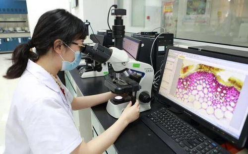 用药需谨慎 警惕药物副作用导致的体重增加