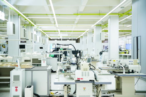 高质量发展看中国 民营企业焕新赋能，金融与技术咨询共筑温暖力量